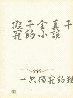 假千金真千金互宠的小说