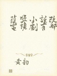 获奖小说改编的电视剧有哪些