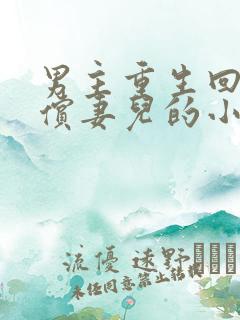 男主重生回来补偿妻儿的小说