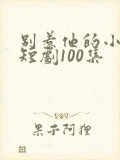 别惹他的小可怜短剧100集