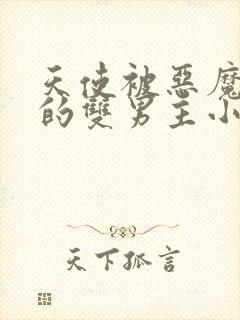 天使被恶魔囚禁的双男主小说