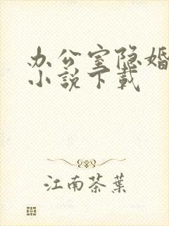 办公室隐婚轻黯小说下载