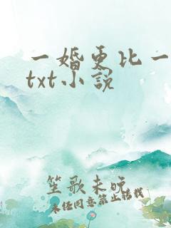一婚更比一婚高txt小说