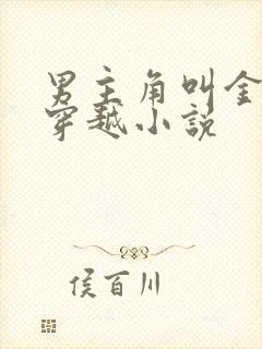 男主角叫金锋的穿越小说