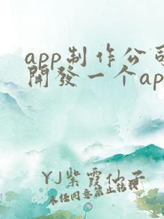app制作公司开发一个app的价格