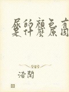 尿的颜色有点黄是什么原因