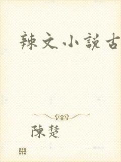 辣文小说古代