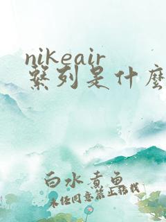 nikeair系列是什么鞋