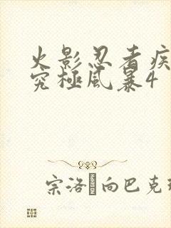 火影忍者疾风传究极风暴4