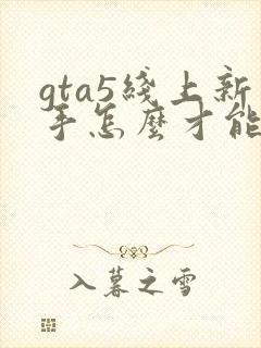 gta5线上新手怎么才能快速赚钱