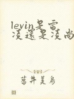levin是雷凌还是凌尚