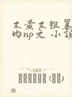 又黄又粗暴的纯肉np文 小说