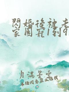 闪婚后被老公全家团宠1到9集观看