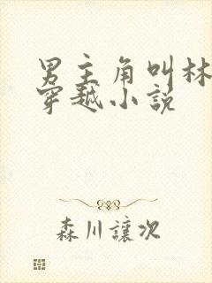 男主角叫林凡的穿越小说