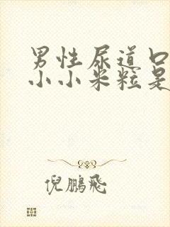 男性尿道口里有小小米粒是什么病