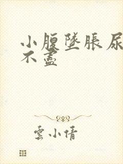 小腹坠胀尿频尿不尽