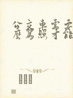 公交车需要考什么驾照才能开