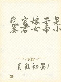 我家娘子是未来暴君女帝小说