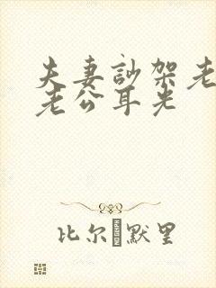 夫妻吵架老婆打老公耳光