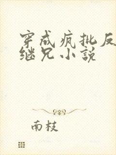 穿成疯批反派的继兄小说