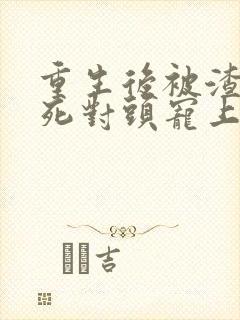 重生后被渣男的死对头宠上天短剧