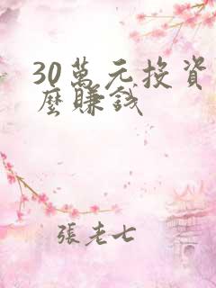 30万元投资什么赚钱