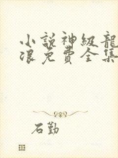 小说神级龙卫沈浪免费全集