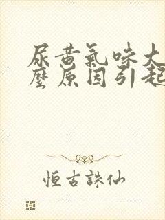 尿黄气味大是什么原因引起的