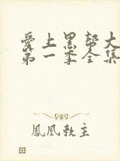 爱上黑帮大佬的第一季全集免费观看