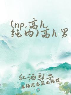 (np,高h,纯肉)高h男男
