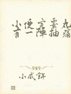 小便完睾丸底部有一阵抽痛感