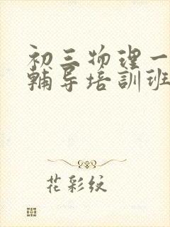 初三物理一对一辅导培训班