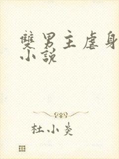 双男主虐身虐心小说