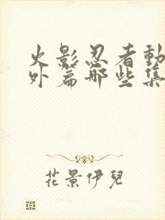 火影忍者动漫番外篇哪些集