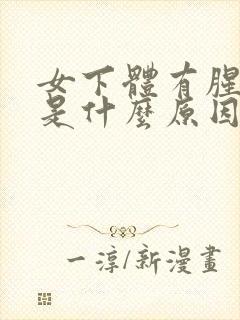 女下体有腥臭味是什么原因