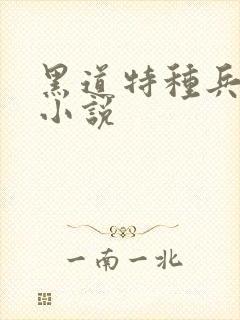 黑道特种兵有声小说
