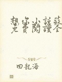 想你小说苏玛丽免费阅读全文无弹窗