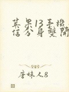 苹果13手机微信分身双开方法