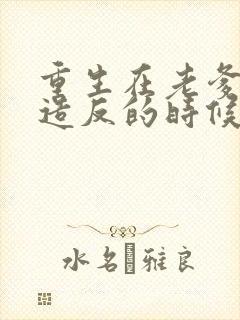 重生在老爹还没造反的时候女主角