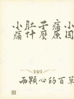 小肚子痛小便也痛什么原因