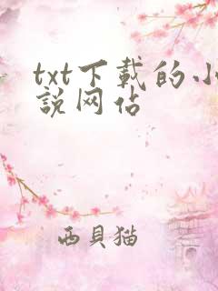 txt下载的小说网站