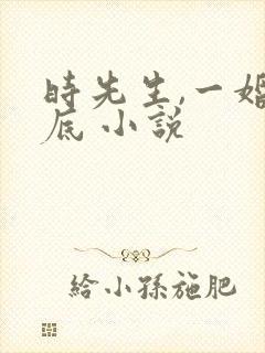 时先生,一婚到底 小说
