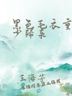 黑色毛衣重生弃少归来