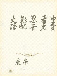 火影忍者中文国语配音免费播放