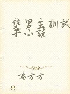 双男主训诫文父子小说