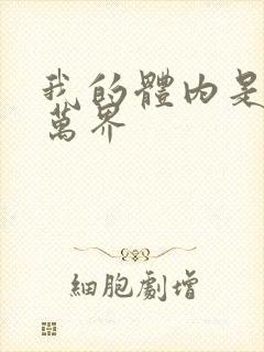 我的体内是诸天万界