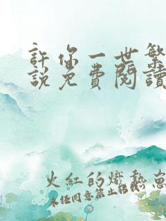 许你一世繁华小说免费阅读