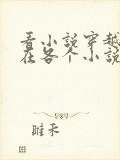 看小说穿越之我在各个小说当女主