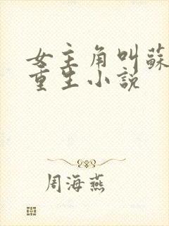 女主角叫苏离的重生小说