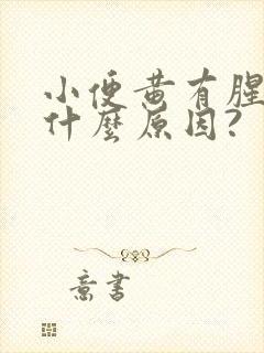 小便黄有腥味是什么原因?